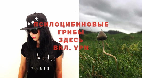 бутират Пересвет