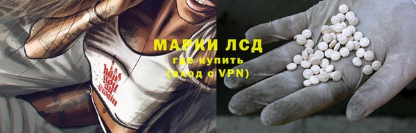 спиды Пестово
