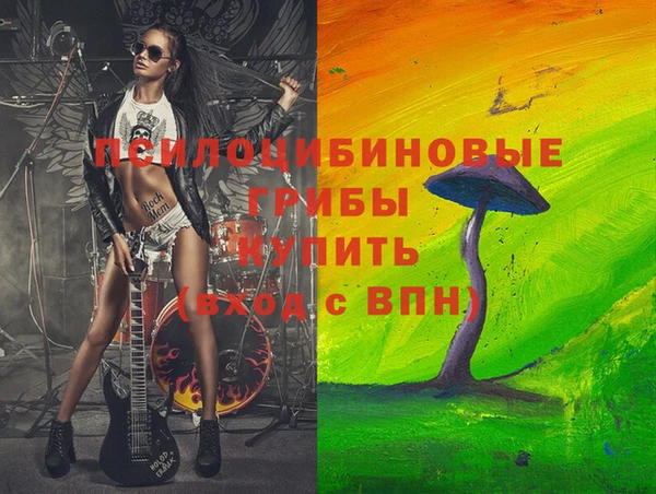 марки lsd Переславль-Залесский