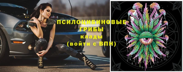 марки lsd Переславль-Залесский
