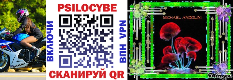 Купить  Анжеро-Судженск  Псилоцибиновые грибы Cubensis 